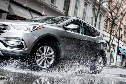 BFGoodrich Advantage (3)